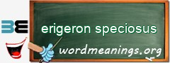 WordMeaning blackboard for erigeron speciosus